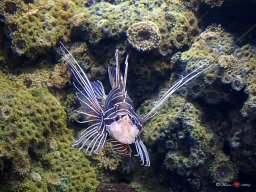 Tiergarten Schönbrunn am 23.03.2023